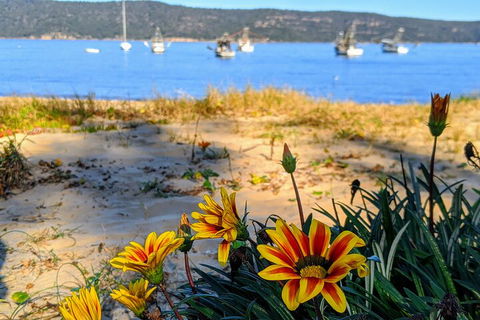 Central Coast Explorer With 'Personalised Sydney Tours' - Accommodation Gold Coast 2