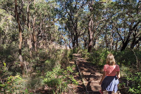 Central Coast Explorer With 'Personalised Sydney Tours' - Accommodation Gold Coast 4