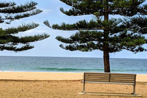 Manly & Sydney's Northern Beaches With 'Personalised Sydney Tours' - Accommodation Gold Coast 0