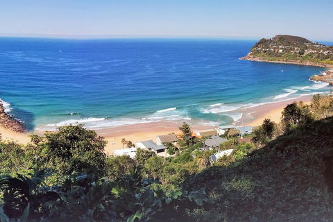 Manly & Sydney's Northern Beaches With 'Personalised Sydney Tours' - Accommodation Gold Coast 2
