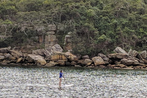 Manly & Sydney's Northern Beaches With 'Personalised Sydney Tours' - Accommodation Gold Coast 3