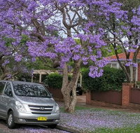 Sydney Secrets  Bondi Beach Private 4 Hr Morning with Personalised Sydney Tours - Accommodation Gold Coast