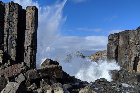 Erupting Blowholes And Ancient Rainforests With 'Personalised Sydney Tours' - Accommodation Gold Coast 0