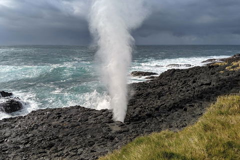 Erupting Blowholes And Ancient Rainforests With 'Personalised Sydney Tours' - Accommodation Gold Coast 1