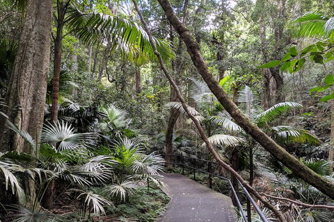 Erupting Blowholes And Ancient Rainforests With 'Personalised Sydney Tours' - Accommodation Gold Coast 2