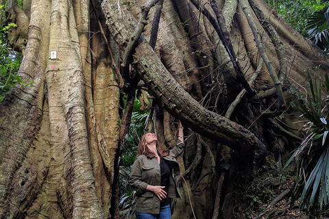 Erupting Blowholes And Ancient Rainforests With 'Personalised Sydney Tours' - Accommodation Gold Coast 4
