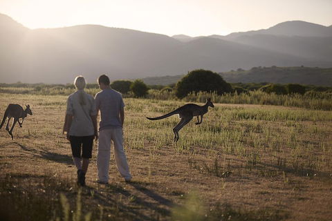 Overnight Daylesford And Macedon Ranges Gourmet Food Trail Tour From Melbourne - Accommodation Gold Coast 1