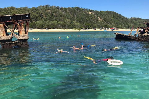 All Inclusive Dolphin And Tangalooma Wrecks Cruise - Accommodation Gold Coast 0