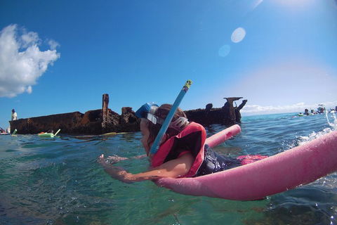 All Inclusive Dolphin And Tangalooma Wrecks Cruise - Accommodation Gold Coast 2