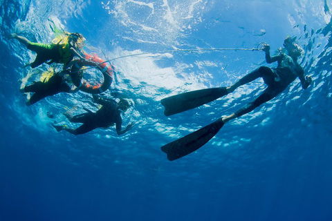 Passions Of Paradise Great Barrier Reef Snorkel And Dive Cruise From Cairns By Luxury Catamaran - Accommodation Gold Coast 2