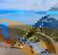 Private Tour Mornington Peninsula Family Maze and Fun - Accommodation Gold Coast