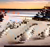 Private Tour Penguin Parade Phillip Island Tour. - Accommodation Gold Coast