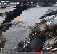 Harley Davidson Bike  Trike Tour Rides - Accommodation Gold Coast