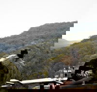 Taste of the Blue Mountains - Lunch  Wine tasting Beer Cider  Gin Tasting - Accommodation Gold Coast