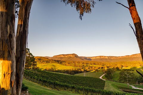 Taste Of The Blue Mountains - Lunch & Wine Tasting, Beer, Cider & Gin Tasting - Accommodation Gold Coast 1