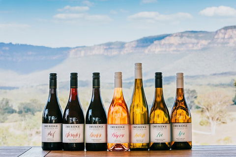 Taste Of The Blue Mountains - Lunch & Wine Tasting, Beer, Cider & Gin Tasting - Accommodation Gold Coast 3