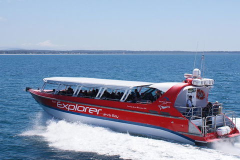 Whale Watching Jervis Bay - Accommodation Gold Coast 1
