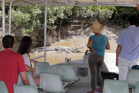 Whitsunday Crocodile Safari Including Lunch - Accommodation Gold Coast 4
