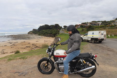 Royal Enfield Interceptor 650cc - Accommodation Gold Coast 3