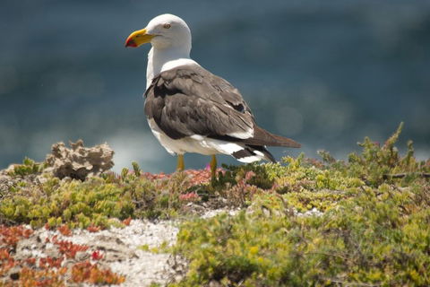 From The Mountains To The Bay - 4 Day Rediscovery Small Group Tour - Accommodation Gold Coast 1