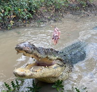 Top End Waterfalls and Wetlands - Accommodation Gold Coast