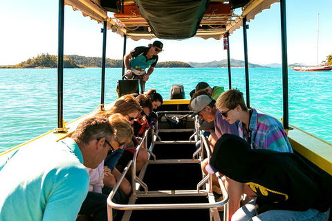 Airlie Beach Glass Bottom Boat Tour - Accommodation Gold Coast 1