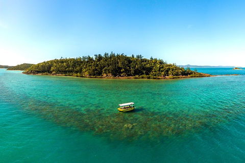 Airlie Beach Glass Bottom Boat Tour - Accommodation Gold Coast 3