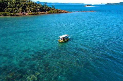 Airlie Beach Glass Bottom Boat Tour - Accommodation Gold Coast 4