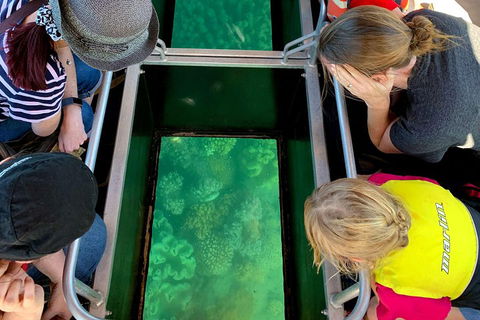 Airlie Beach Glass Bottom Boat Tour - Accommodation Gold Coast 5