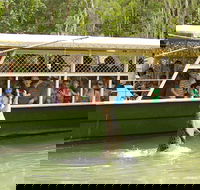 Hartley's Crocodile Adventure Half-Day Tour - Accommodation Gold Coast