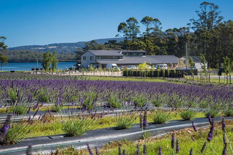 Private Hobart Discover South East Food And Scenic Tour - Accommodation Gold Coast 0