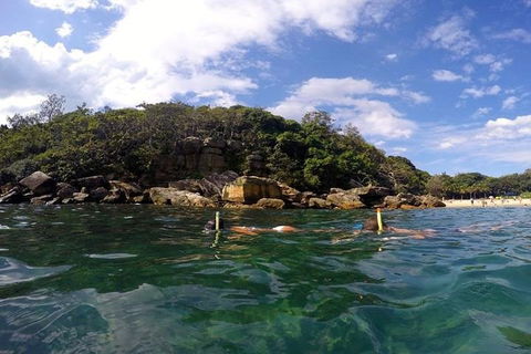Manly And Shelly Beach Snorkeling Tour - Accommodation Gold Coast 4