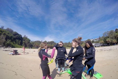 Manly And Shelly Beach Snorkeling Tour - Accommodation Gold Coast 5