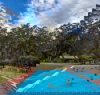 Tahune Airwalk Active Day Trip from Hobart Including Hastings Caves - Accommodation Gold Coast