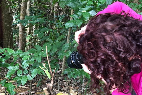 Let's Go Buggin & Let's Go Shroomin - Photography & Nature Walking Tours - Accommodation Gold Coast 1