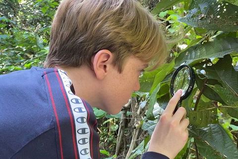 Let's Go Buggin & Let's Go Shroomin - Photography & Nature Walking Tours - Accommodation Gold Coast 3