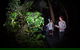 Let's Go Buggin & Let's Go Shroomin - Photography & Nature Walking Tours - thumb 4
