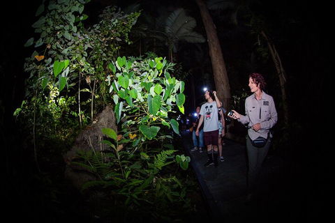 Let's Go Buggin & Let's Go Shroomin - Photography & Nature Walking Tours - Accommodation Gold Coast 4