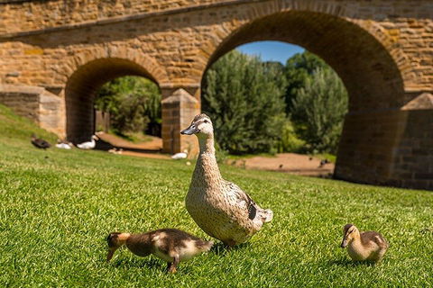Richmond Historic Afternoon Tour From Hobart - Accommodation Gold Coast 1