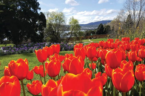 Hobart Half-Day Sightseeing Coach Tram Tour - Accommodation Gold Coast 4