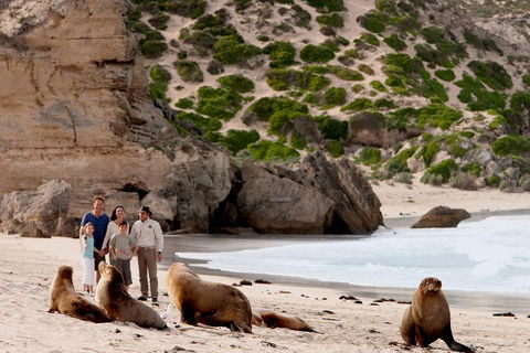 Kangaroo Island Scenic Trail Tour - Accommodation Gold Coast 5