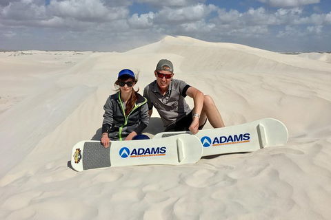 Full Day Pinnacle Desert Explorer From Perth Including Hillarys And Lancelin Sandboarding - Accommodation Gold Coast 4