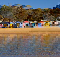 Mornington Peninsula Small Group day tour - Accommodation Gold Coast