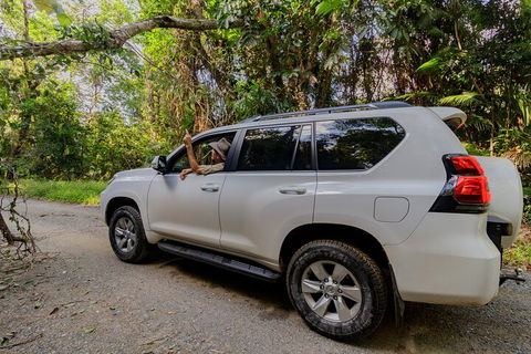 Full Day Cooktown Private Tour - Accommodation Gold Coast 3