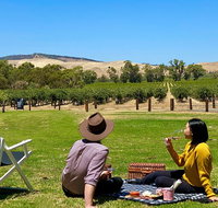 Private Picnic and Wine Tasting Experience in Barossa Valley - Accommodation Gold Coast