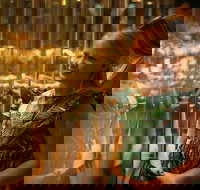 The Perth Mint Guided Heritage Tour and Gold Pour - Accommodation Gold Coast