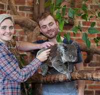 Private Tour Blue Mountains Day Trip from Sydney - Accommodation Gold Coast