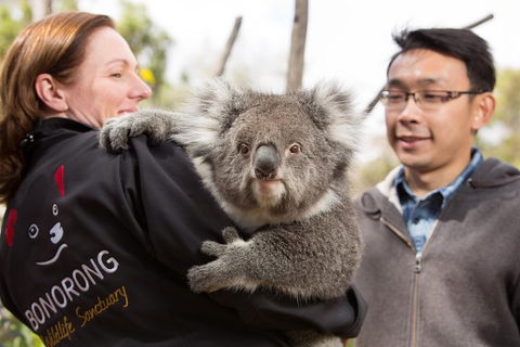 Bonorong Wildlife Park And Richmond Afternoon Tour From Hobart - Accommodation Gold Coast 0