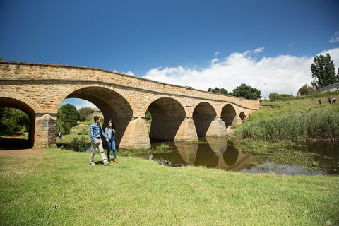 Bonorong Wildlife Park And Richmond Afternoon Tour From Hobart - Accommodation Gold Coast 2