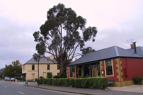 Bonorong Wildlife Park And Richmond Afternoon Tour From Hobart - Accommodation Gold Coast 3